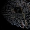 暗流涌动|黑客渗透资源hub