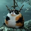 чатик котностей