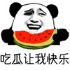 东南亚-狗推大队吃瓜