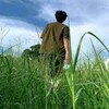AI量化的搭建