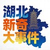 湖北新奇大事件
