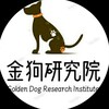 金狗研究院-金狗发布