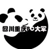 柬埔寨菲律宾bc回国自首！