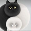「峰哥」比特币行情分析