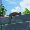 TuskedE0's Archive Channel