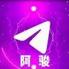 阿骏服务器-主板机-家庭IP