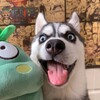 搞笑吃瓜🐶内涵段子/奇趣百科