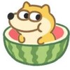 🍉吃瓜大本营🍉
