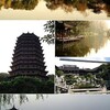 杭州 (Hangzhou) 聊天 / 约会 / 商务