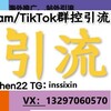欧美币圈引流/马来西亚引流/韩国引流