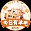 今日有羊毛🦙