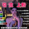 ws引流 WhatsApp超级号 ws数据