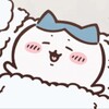 可可数据号正版