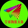 全球狗推大队 🈲广告