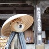 Mkcloud交流群