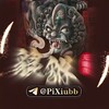 貔貅查档通知频道 @PiXiubb