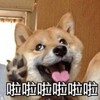 社工分享群