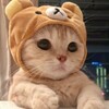BY公益内核发布频道