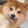 电影|网剧|小鱼儿部落