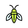 知了
